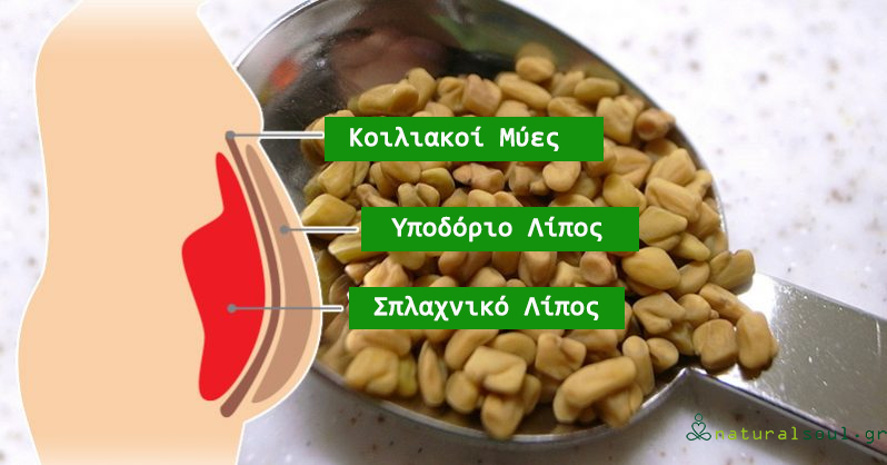 Πώς να χάσετε βάρος γρήγορα στο σπίτι ασκήσεις συνταγές με σπόρους chia για απώλεια βάρους