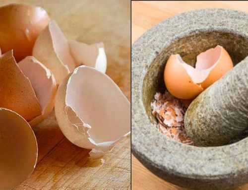 Τσόφλια Αυγού: Δημιουργικοί Τρόποι για να τα Χρησιμοποιήσουμε