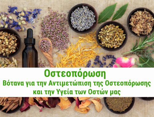 Οστεοπόρωση – Βότανα για την Αντιμετώπιση της Οστεοπόρωσης και την Υγεία των Οστών μας